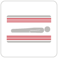 icona prodotti plus